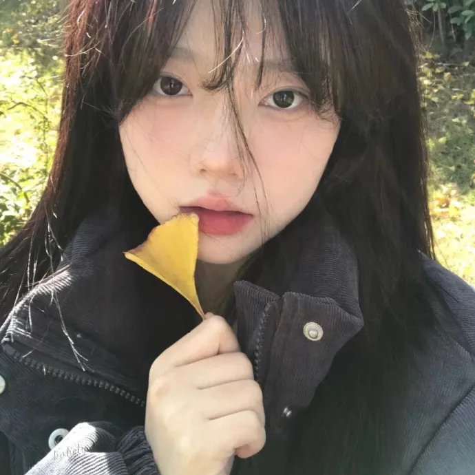 智恵子抄